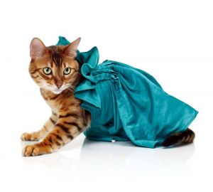 ������������� ������� � �������� ������ ����� 